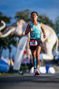 BIB: 
                            <button type="button" onclick="openModal(26541369)" class="btn btn-primary btn-sm float-right btn-popup" data-toggle="modal" data-target=".modal-high-quality">
                        <i class="fas fa-shopping-cart"></i> Add to Cart
                    </button>
                                            <button type="button" onclick="isThisMe(26541369, true)" class="btn btn-success btn-sm float-right btn-popup btn-isme hidden" data-toggle="tooltip" data-placement="bottom" title="นี่คือรูปของคุณใช่ไหม คลิกที่นี่เพื่อเอาเข้าอัลบั้ม">
                        <i class="fas fa-plus"></i> Add to album
                    </button>
                    <button type="button" onclick="isThisMe(26541369, false)" class="btn btn-warning btn-sm float-right btn-popup btn-isnotme hidden">
                        <i class="fas fa-ban"></i> Remove from album
                    </button>